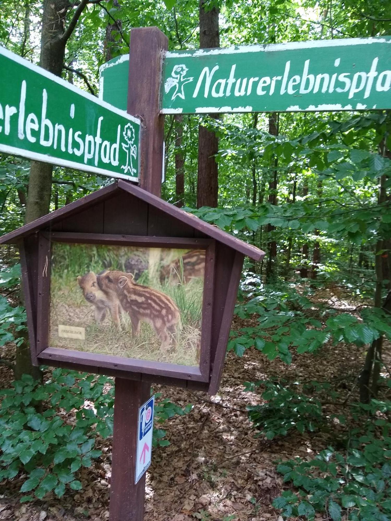 Zwei Seen Ferienhaus Canow ภายนอก รูปภาพ